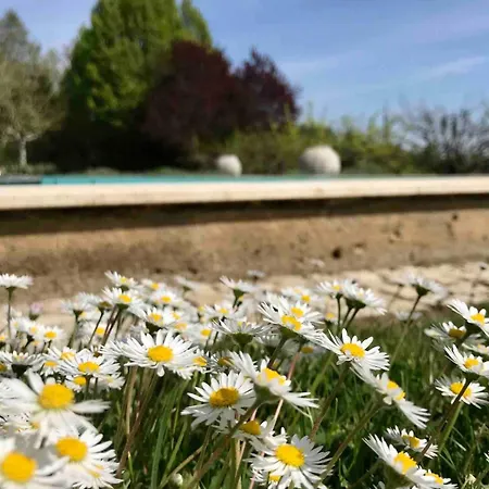 דירה Exklusive Wohneinheit Mit Panoramablick Und Pool