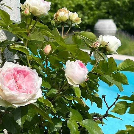 Exklusive Wohneinheit Mit Panoramablick Und Pool شقة كلاغنفورت